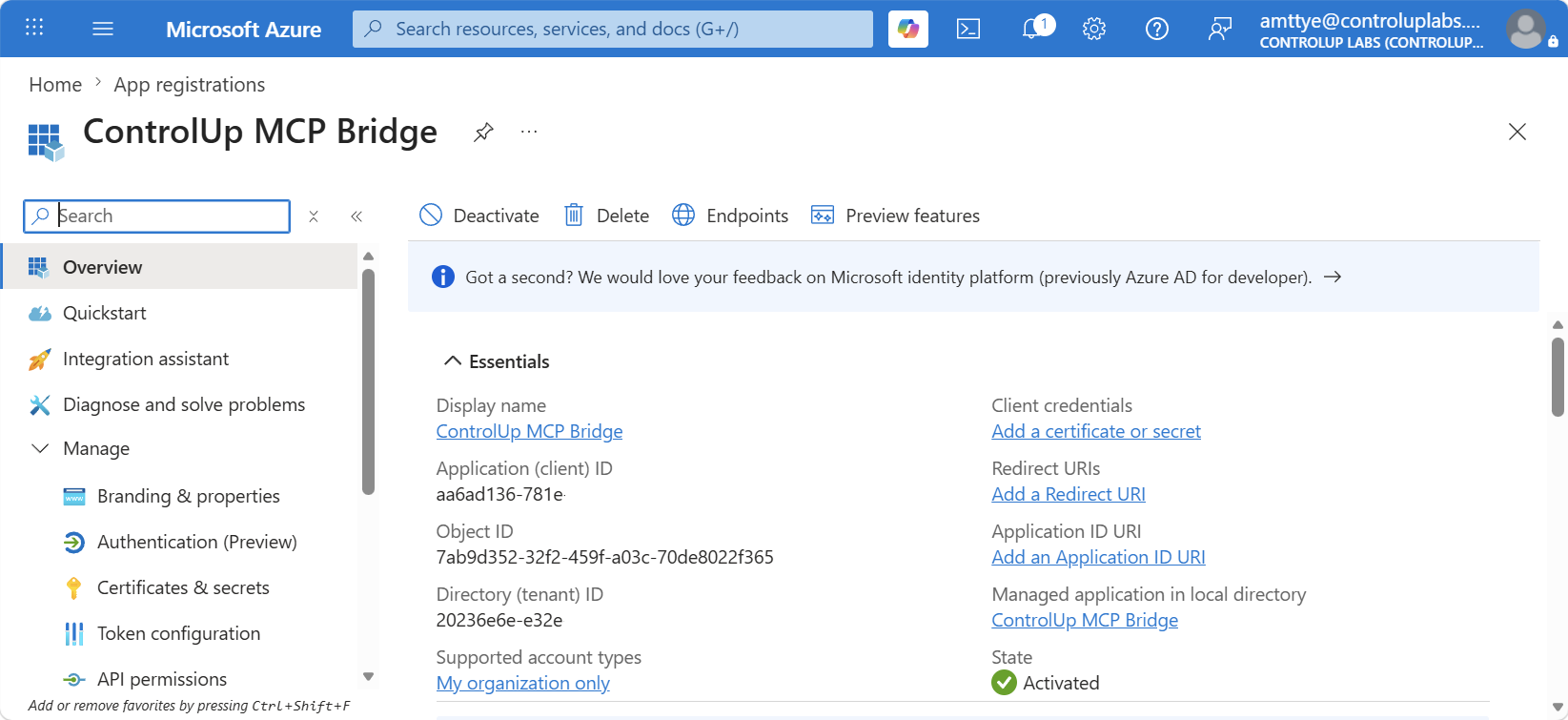 App registration overview showing client ID and tenant ID