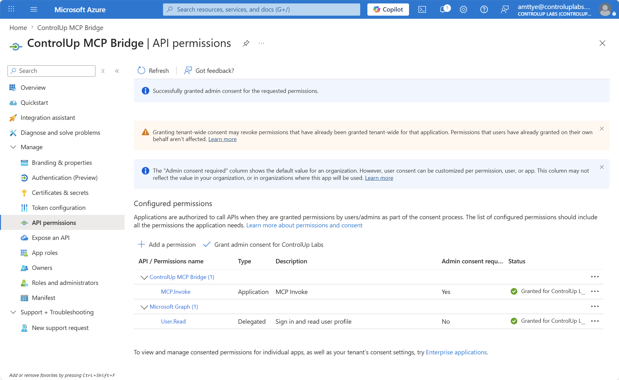 Admin consent granted for MCP.Invoke