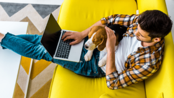 man petting dog with laptop